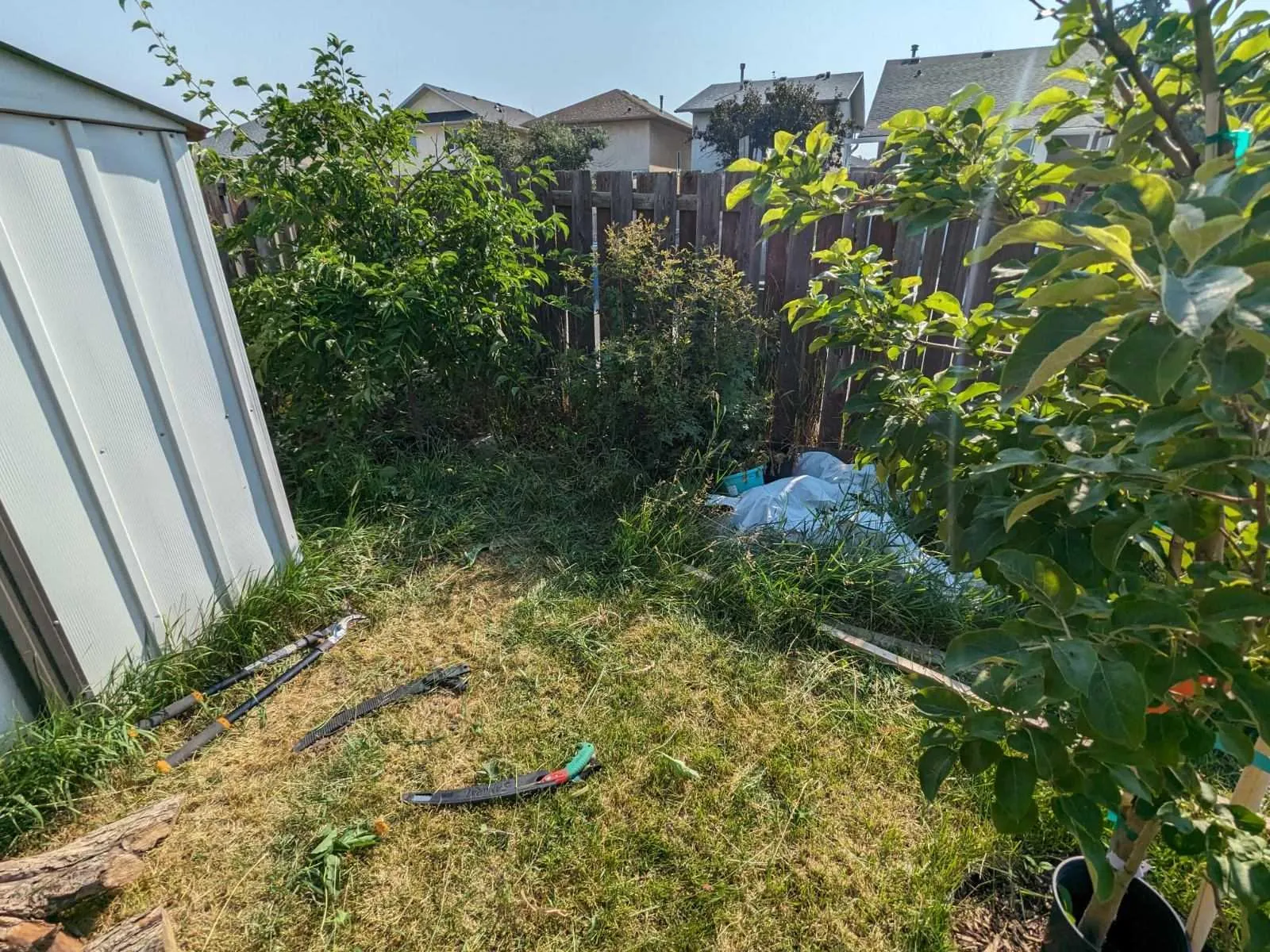 Gardening bed renno, 2024, before #1