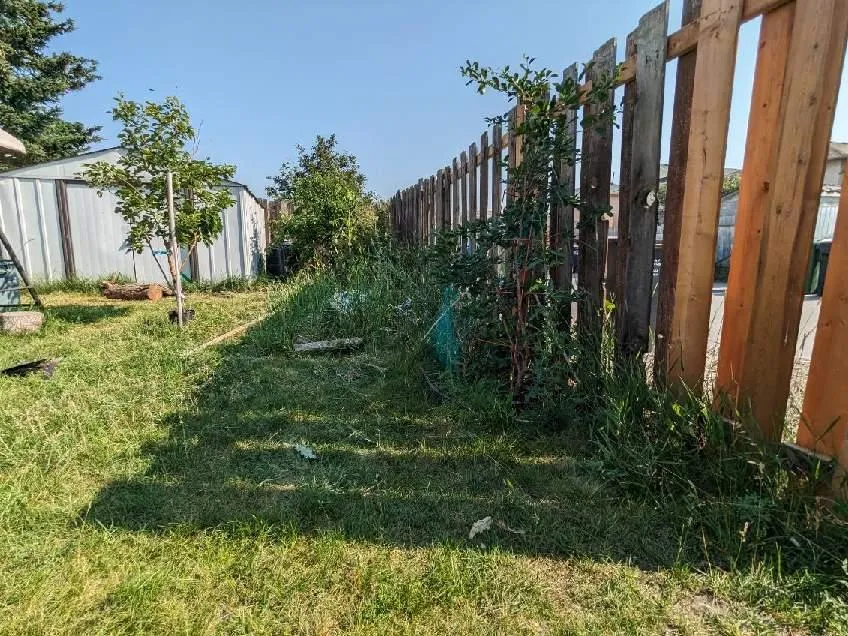 Gardening bed renno, 2024, before #2