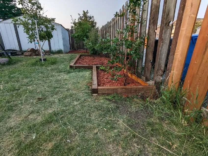 Gardening bed renno, 2024, after #1