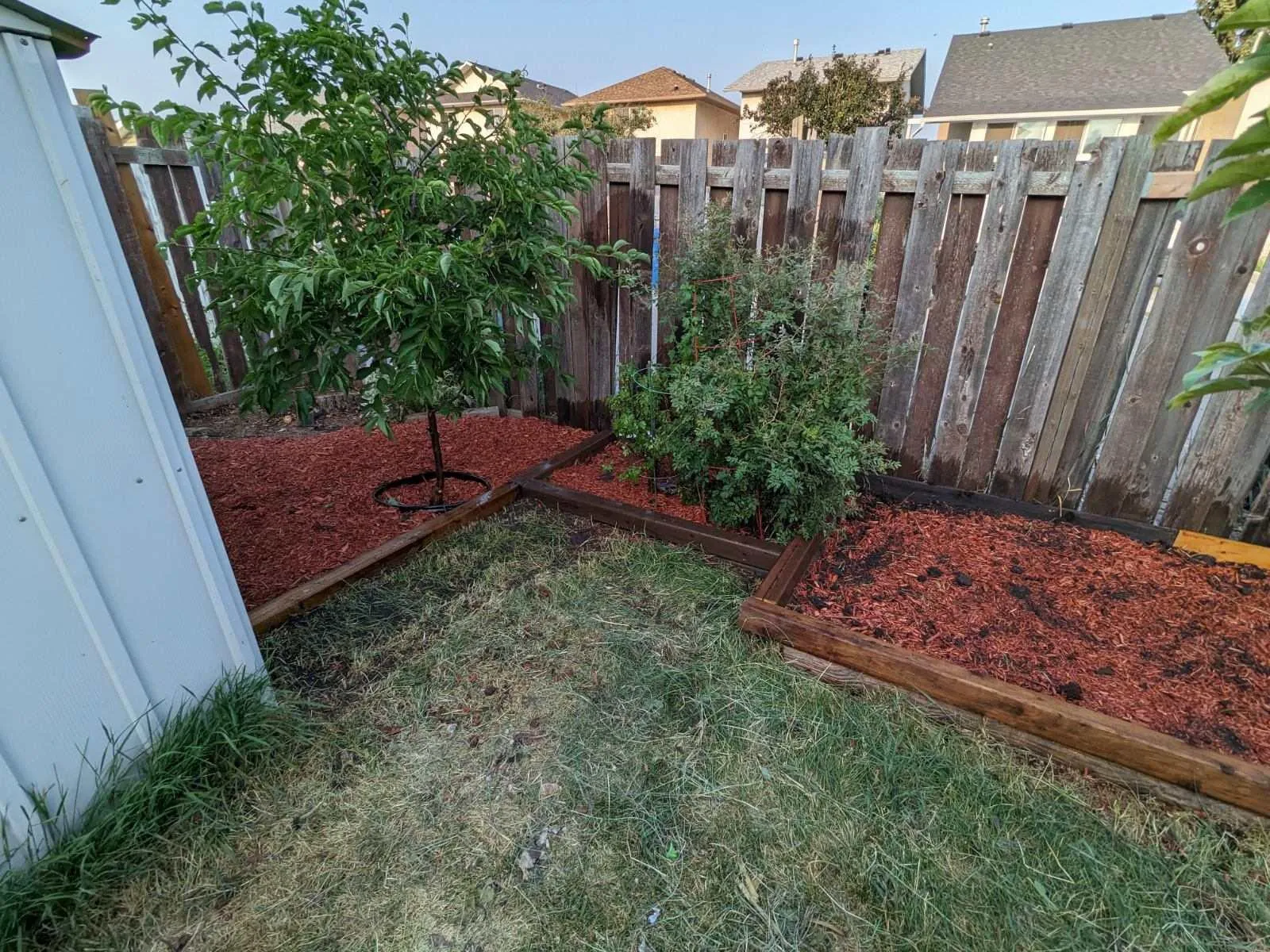 Gardening bed renno, 2024, after #2